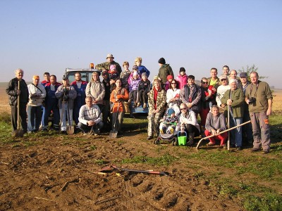 Sázení stromořadí v Tikovicích 2012